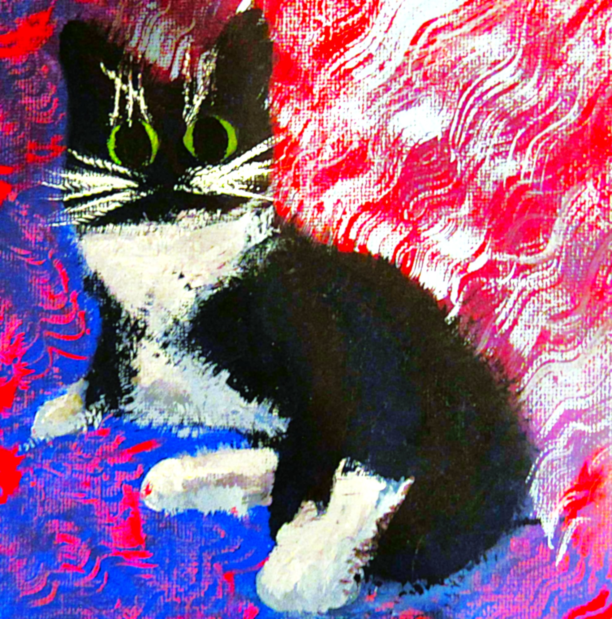 Tuxedo