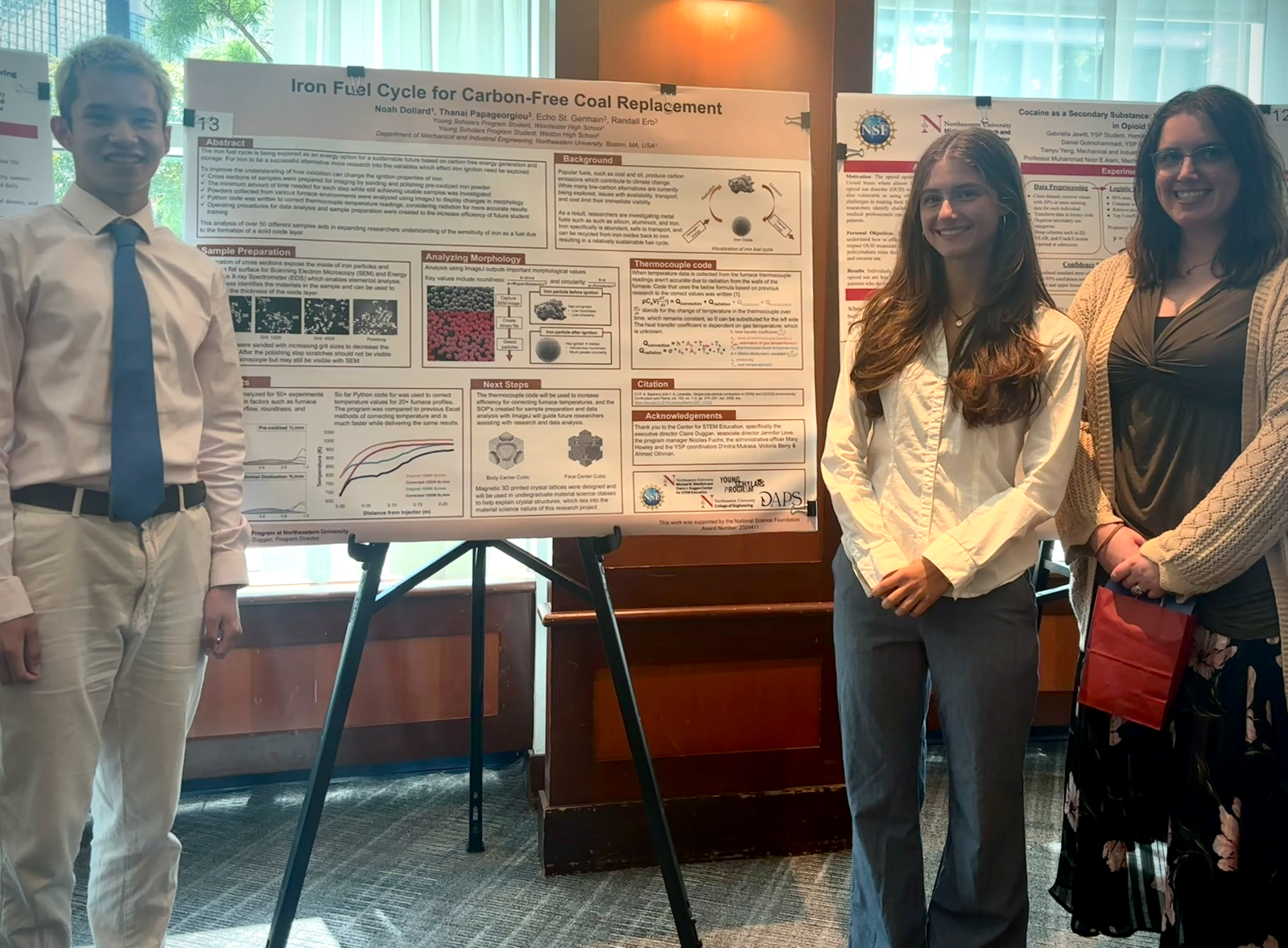 Young Scholar Program mentees at work